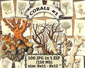 Corals # 1 - Packung mit 100 Vintage Bildern Farbe hochauflösende Bilder Bilder digitaler Download druckbare Meer Meerwasser Korallen Meerespflanzen