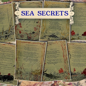 Sea Secrets - set of 24 old illustrations from vintage book pictures images pages 8.5x11 digital papers print sheets tags ATC cards marine