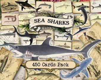 Sea Sharks - set of 40 pictures on 450 cards in JPG with antique illustrations instant digital download vintage image animals fish sea ocean