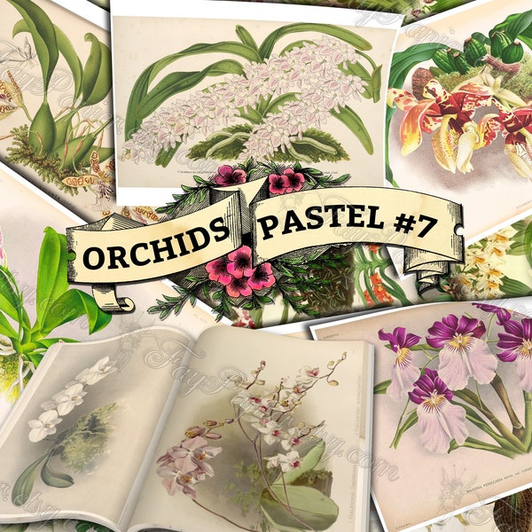 Orchid Pastel #7 - set of 54 digital sheets with botanical pictures in JPG printable 8.5x11 inches ephemera pack of garden flowers blossoms