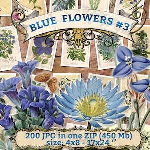 BLUE FLOWERS 3 pack of 200 vintage large sie images high resolution pictures digital download printable cyan group light color antique image 1