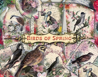 Oiseaux de printemps - lot de 42 feuilles de journal indésirables avec des collages numériques de motifs graphiques de style vintage encadrés de lettres manuscrites florales