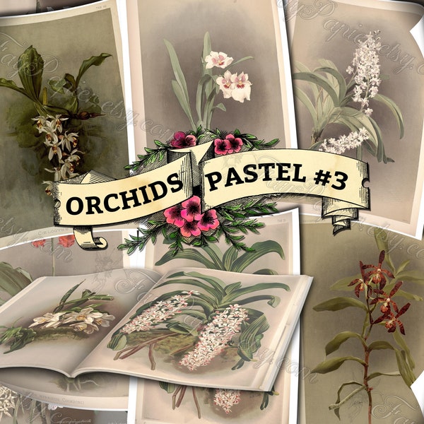 Orchid Pastel #3 - set of 54 digital sheets with botanical pictures in JPG printable 8.5x11 inches ephemera pack of garden flowers blossoms