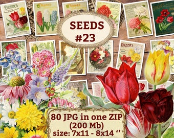SEEDS # 23 - Packung mit 80 Vintage Bilder Katalog bedeckt Phlox in hoher Auflösung alte digitale Download druckbare Gemüse Tulpe Mohnblumen