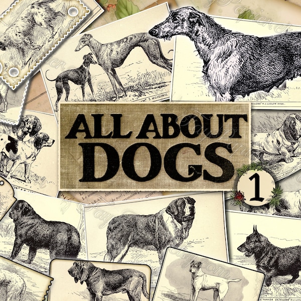 Tout sur les chiens pour les chiens n°1 - ensemble de 41 illustrations anciennes de livres vintage photos images pages 8,5 x 11 feuilles d'impression papier numérique
