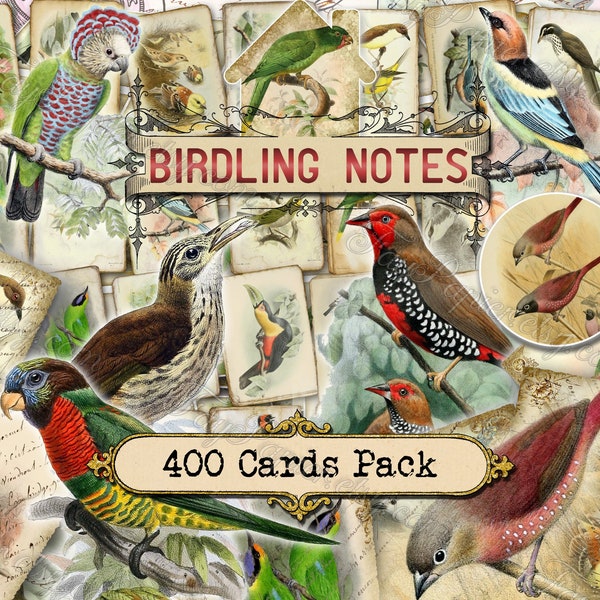 Notes pour les oiseaux - lot de 40 photos sur 400 cartes au format JPG avec illustrations anciennes, téléchargement numérique instantané belle nature naturelle agréable