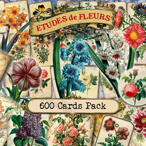 Etudes de Fleurs - set of 40 pictures on 600 cards with antique illustrations victorian century jpg jpeg pack zip printable Lilac Roses