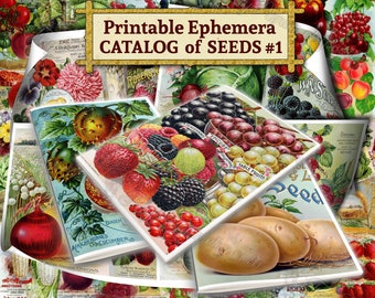 Printable Ephemera Catalog of Seeds #1 - set of 36 digital sheets with fruits pictures in JPG 8.5x11 inches pack for mixed media journal