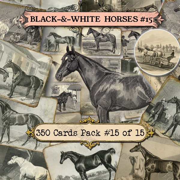 Black-and-white Horses #15 - set of 40 pictures on 350 cards in JPG format with illustrations instant digital download high quality clipart