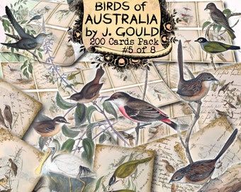 Birds of Australia by Gould #5 - set of 200 ATC cards in JPG format with antique illustrations old book page scan, instant download