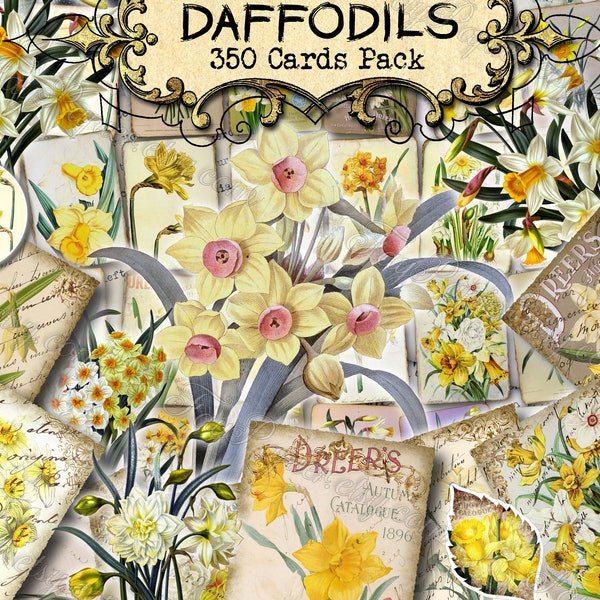 Daffodils - set of 40 pictures on 350 cards vintage old illustrations for natural junk journal clip art Narcissus Jonquil flowers plants
