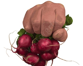 Sublimation Designs, Radish Clipart, Radishes, Vector Food Art,  (EPS, PNG) (Digital Download)