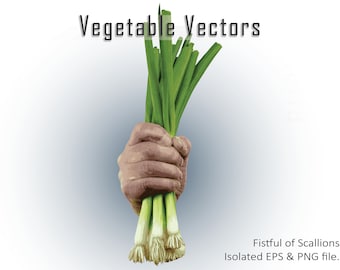 Sublimation Designs, Vegetable Clipart, Photorealistic Vegetable Vector Art (EPS, PNG)