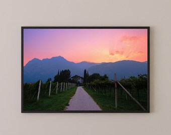 Italy Photo Print - Bubblegum Sunset over Vineyard