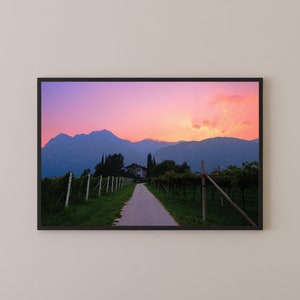 Italy Photo Print Bubblegum Sunset over Vineyard image 1
