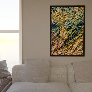 Maine Photo Print October Seaweed in Diamond Cove image 3