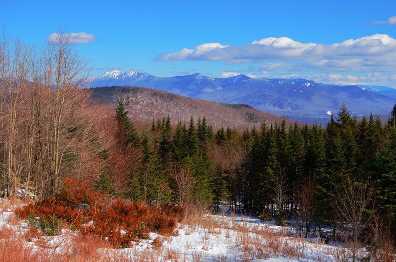 White Mountains Photo Print Crisp Winter Scene image 2