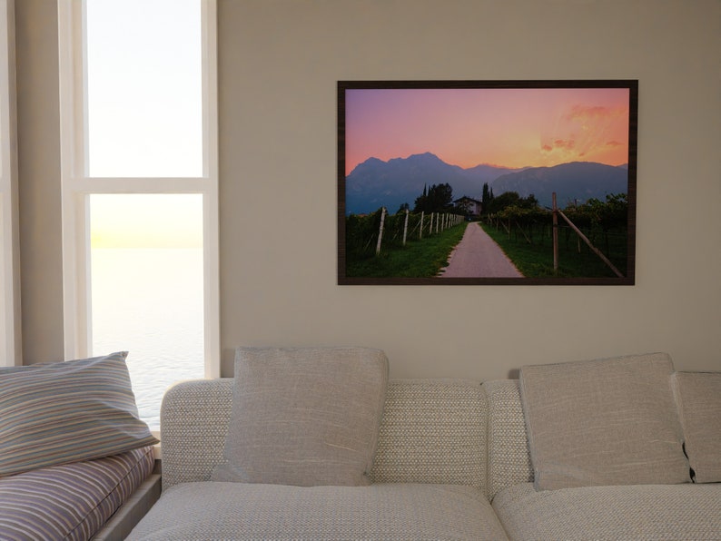 Italy Photo Print Bubblegum Sunset over Vineyard image 3