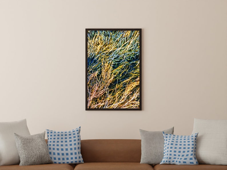 Maine Photo Print October Seaweed in Diamond Cove image 1