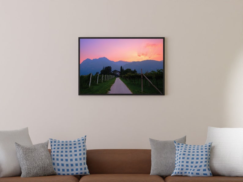 Italy Photo Print Bubblegum Sunset over Vineyard image 1