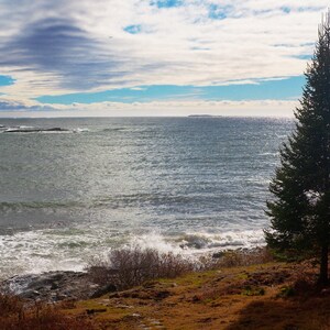 Impresión fotográfica de Maine Noviembre balsámico del Atlántico de Long Island imagen 2