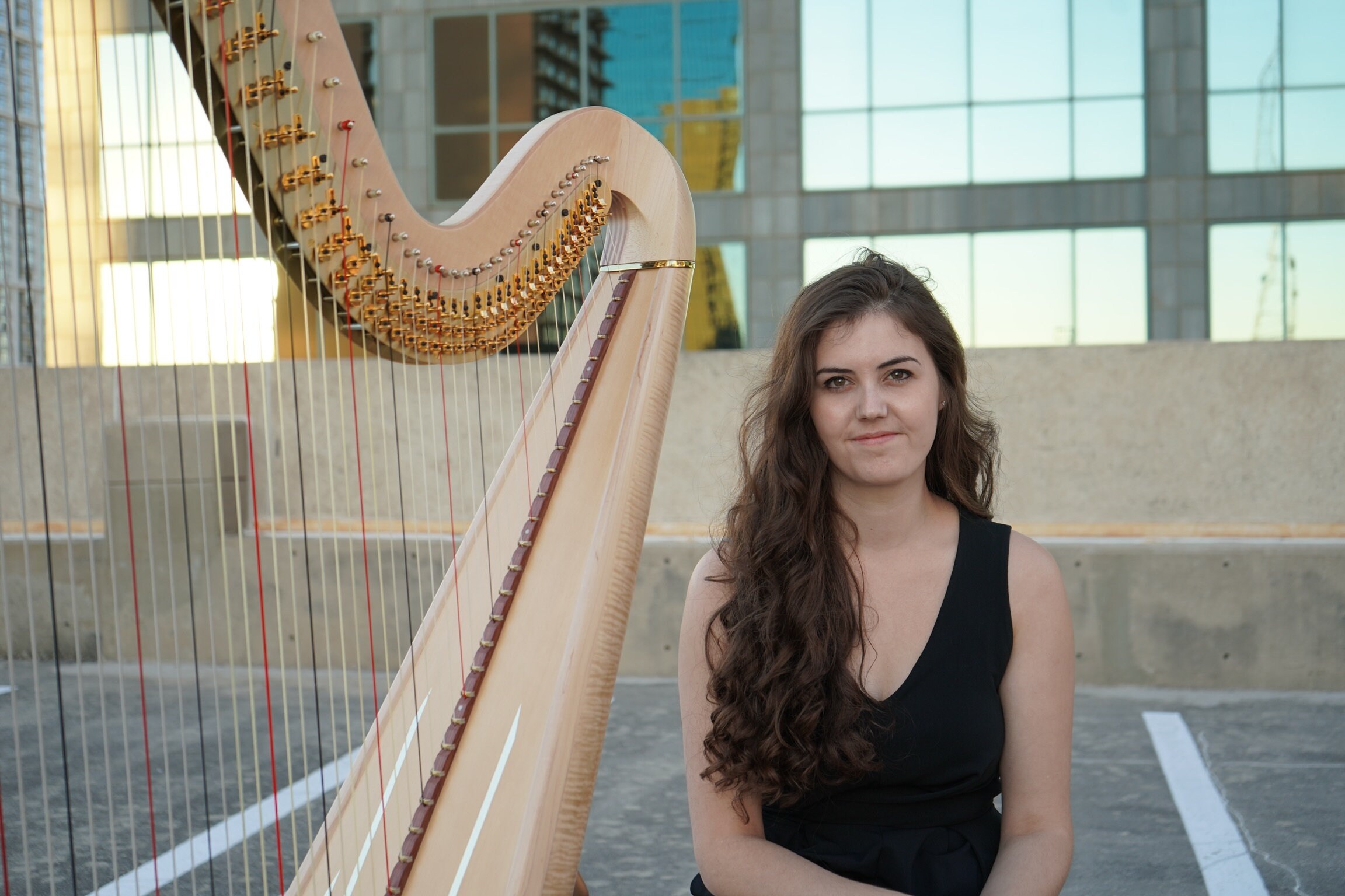 Custom Harp Recording Etsy