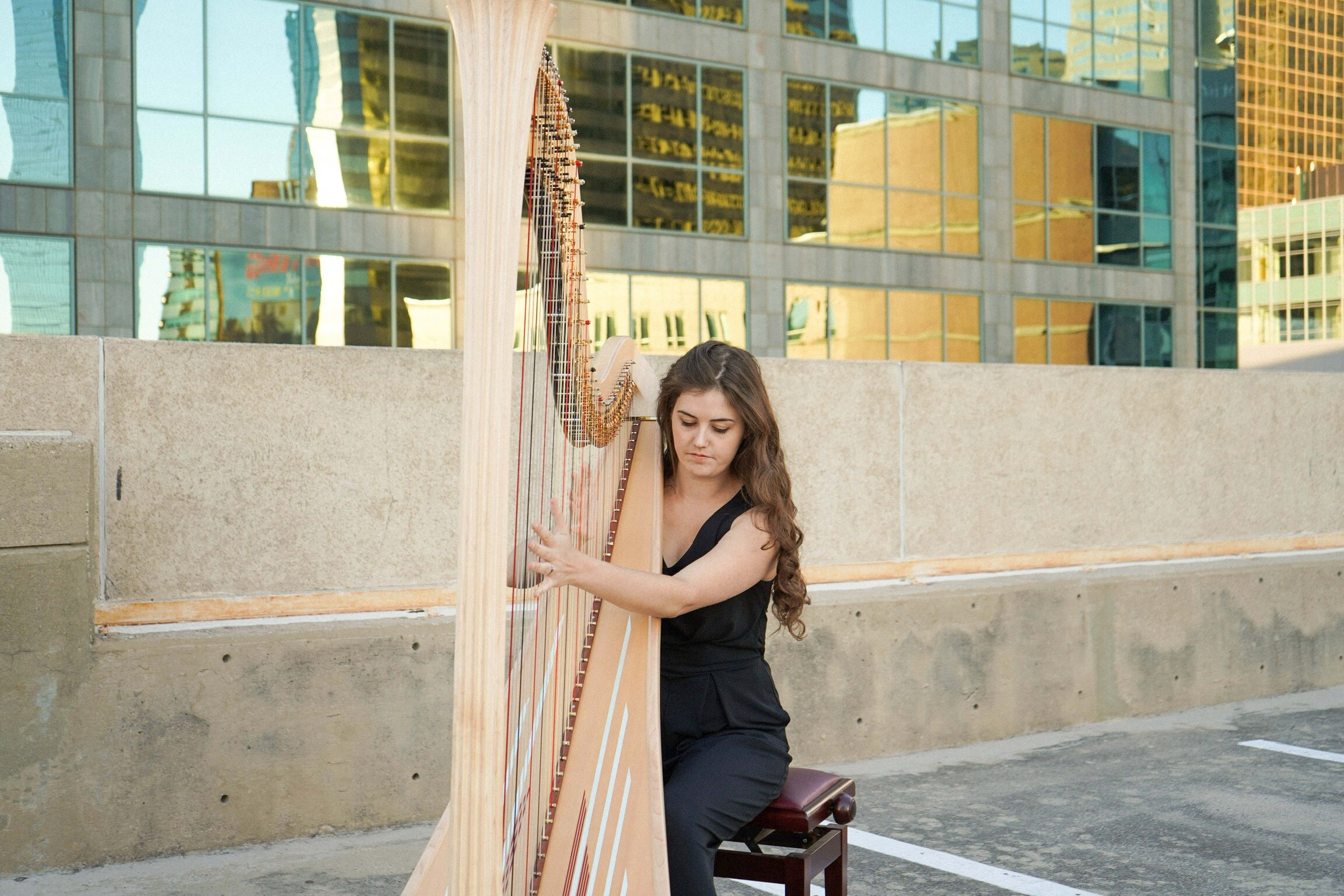 Custom Harp Recording Etsy