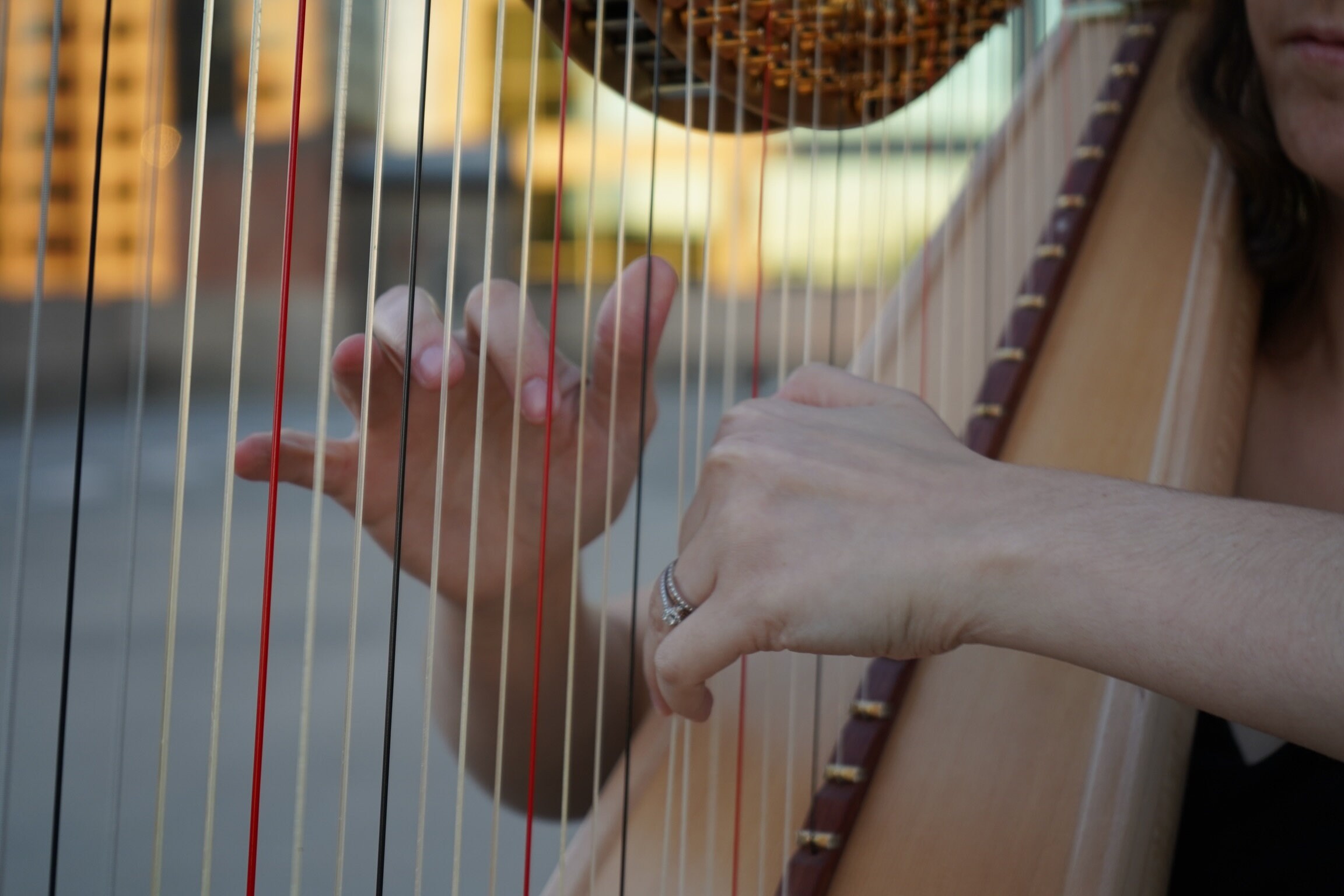 Custom Harp Recording Etsy