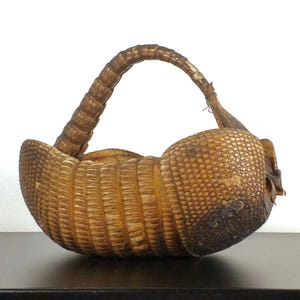 Vintage 10" Armadillo Basket, Curiosities and Oddities, Southwestern Home Decor - Sold As Is