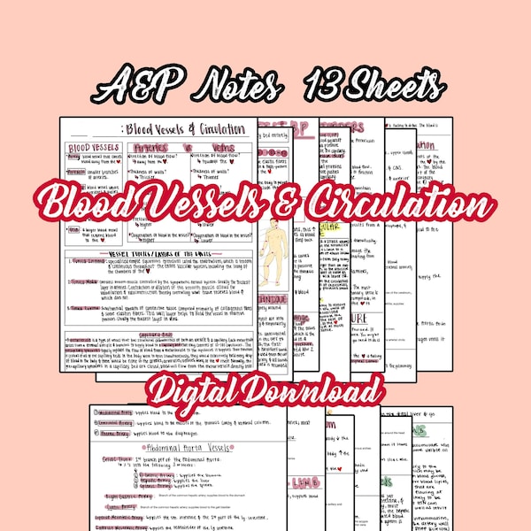 13 pg Anatomy and Physiology, Blood Vessels & Circulation, Anatomy Notes