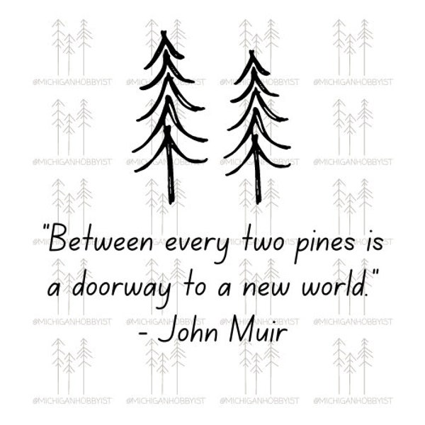 John Muir Forest Quote Digital Design, Cricut, SVG, PNG, and PDF File