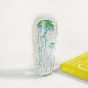 Sean O'Donoghue Glass 'Jellyfish, Double Large Paperweight in Teal Collectable Glass Australian image 2