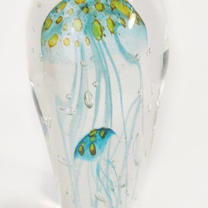 Sean O'Donoghue Glass 'Jellyfish, Double Large Paperweight in Teal Collectable Glass Australian image 5