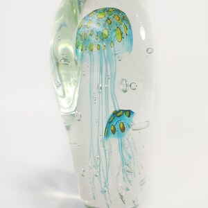 Sean O'Donoghue Glass 'Jellyfish, Double Large Paperweight in Teal Collectable Glass Australian image 8