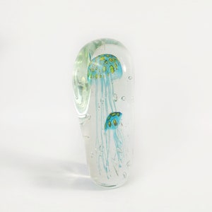 Sean O'Donoghue Glass 'Jellyfish, Double Large Paperweight in Teal Collectable Glass Australian image 3