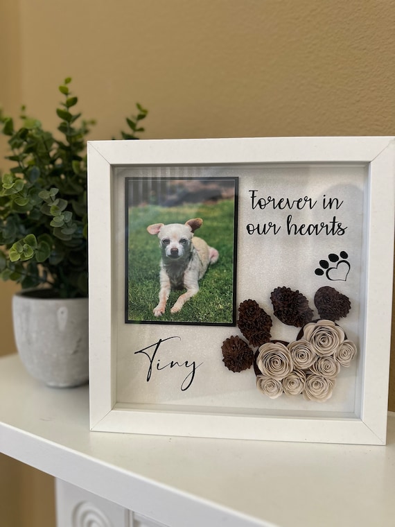 Personalized Pet Memorial Shadow Box, Pet Loss Sympathy Gifts, Pet