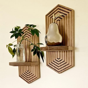 Estante flotante hexagonal para plantas y objetos pequeños, decoración de pared estilo boho moderno de mediados de siglo.