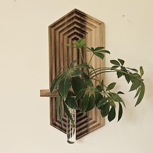 Hexagonal Floating Plant Shelf, Minimalist Decor, Geometric Floating Shelves, Plant Propagation Shelf, Mid Century Modern Shelf, Wall Decor