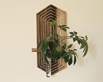 Hexagonal Plant Propagation Shelf: Mid Century Modern Wall Decor