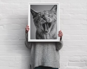 Photo of cute yawning kitten cat - instant download printable wall art - black white minimalist monochrome b&w photographic poster