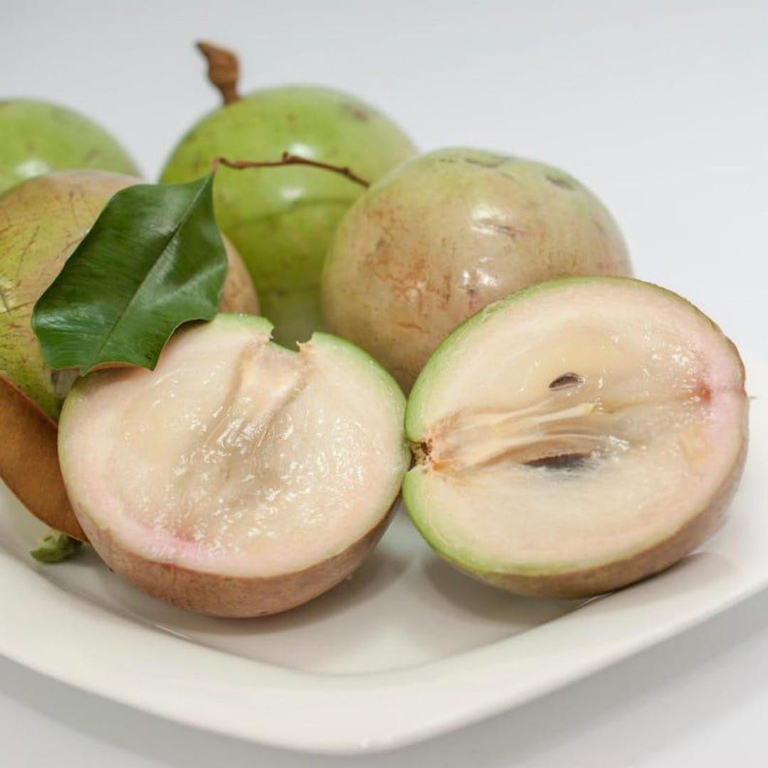 5 Seeds Green Caimito Star Apple Chrysophyllum Cainito Fruit Seeds - Etsy