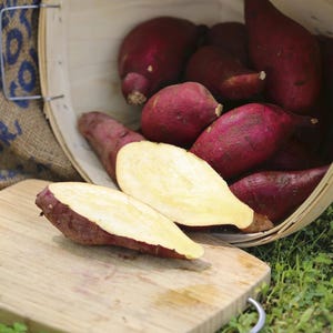 May include: A wooden basket overflowing with vibrant purple sweet potatoes. Two halves of a sweet potato, revealing pale yellow flesh, rest on a wooden cutting board. The scene is set outdoors with green grass.