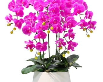 Faux orchid flower |  artificial flower | Artificial  PHALAENOPSIS  Flower comes with white bowl | Floral arrangement | Gift