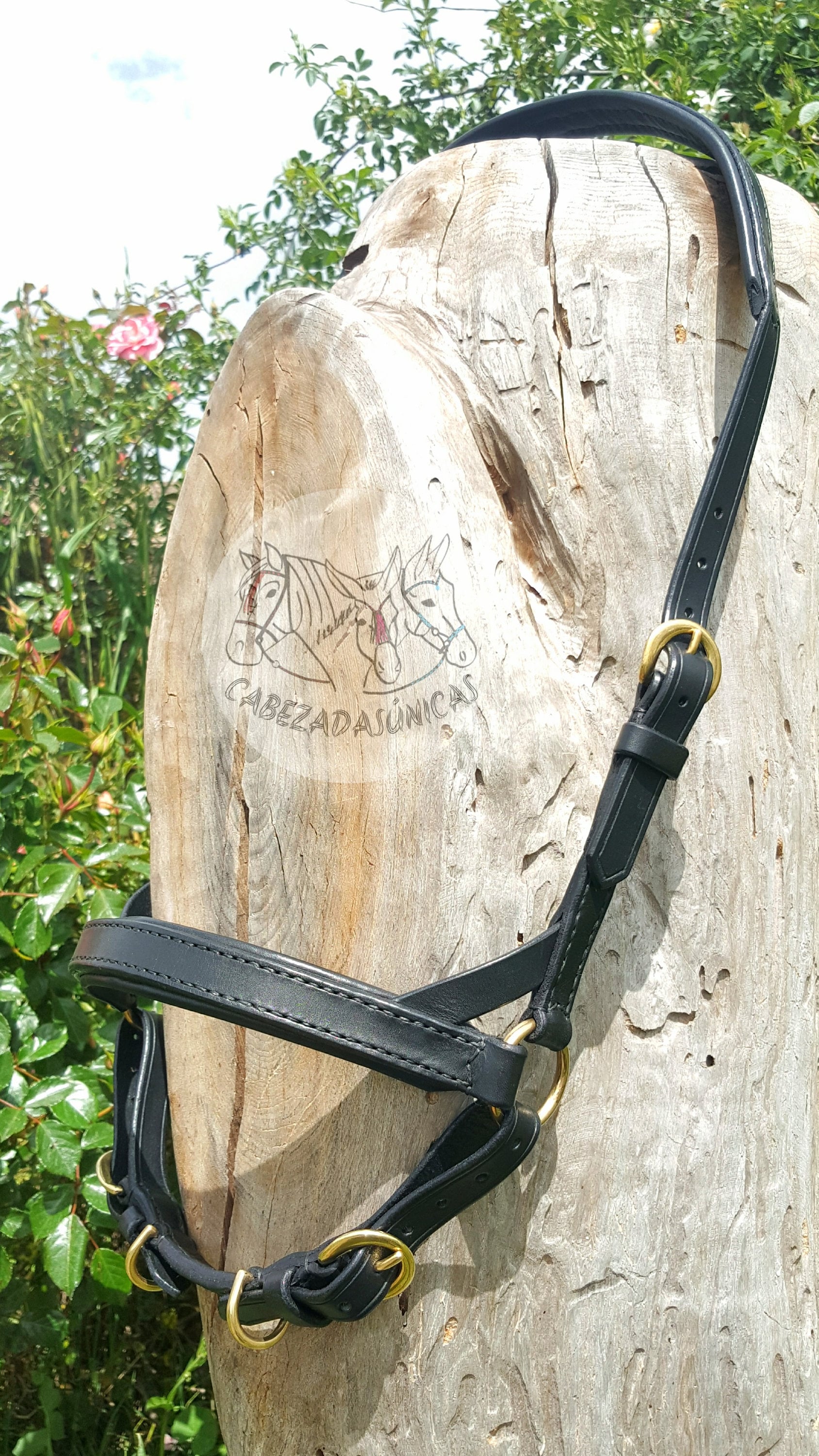 Colombian Bosal, bitless bridle