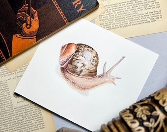 Watercolor Snail Art Print. Garden Nursery Decor. Snail Painting. Cottagecore Snail Art. Woodland Snail Drawing.