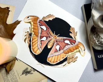 Impresión de arte de polilla de acuarela. Arte de la polilla del Atlas. Arte académico oscuro. Pintura de insectos. Arte otoñal único. Arte en el aula de ciencias. Decoración bruja.