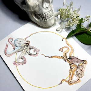 Aquarel Octopus Art Print. Kunst aan de kust aan de muur. Hemelse octopus schilderij. Nautische natuurkunst. Oceaan kwekerij afdrukken. Zeemeerminnen decor.