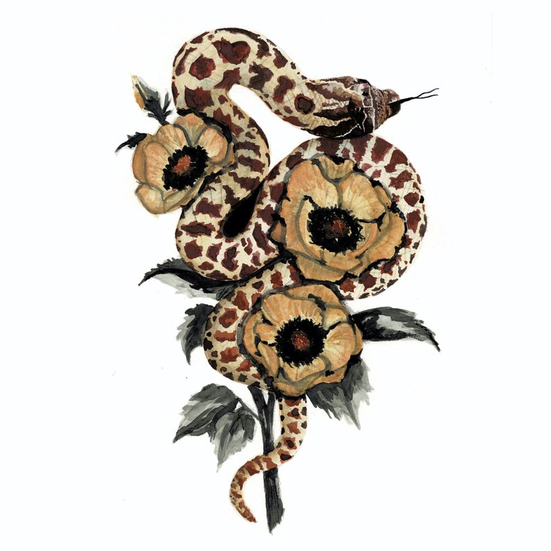 Puede incluir: Una pintura de acuarela de una serpiente envuelta alrededor de un ramo de flores. La serpiente es marr&oacute;n y blanca con un patr&oacute;n moteado. Las flores son de un amarillo p&aacute;lido con centros marrones.
