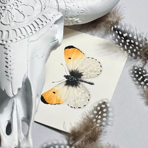 Aquarell Orangenspitzen Schmetterling Kunstdruck. Erdiges Schmetterlingsbild. Insekten Zeichnung. Witchy Cottagecore Dekor. Boho Girl Kinderzimmer Kunst.
