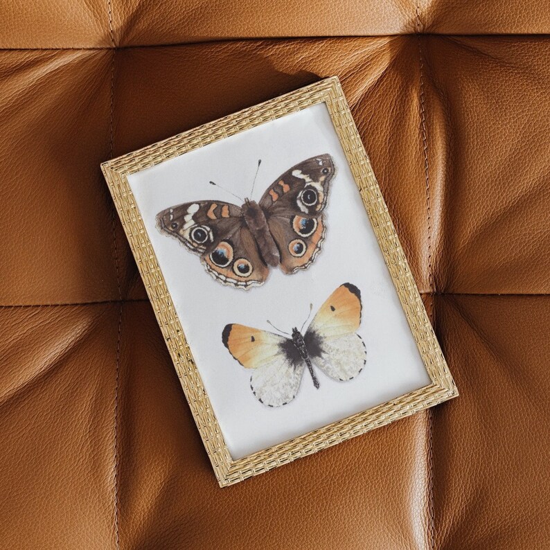 Puede incluir: Una imagen enmarcada en oro con dos mariposas. La mariposa m&aacute;s grande es marr&oacute;n con marcas negras y la mariposa m&aacute;s peque&ntilde;a es naranja y blanca.